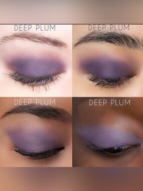 SeneGence Deep Plum ShadowSense Matte Eyeshadow - Rich Purple Shade NWT